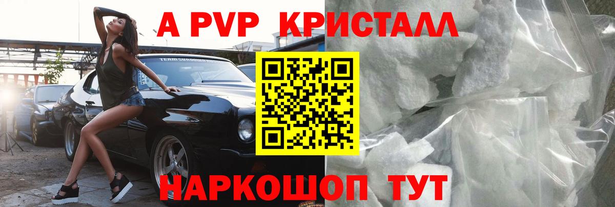 А ПВП СК Ноябрьск