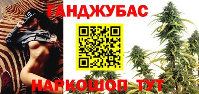 стаф Тула