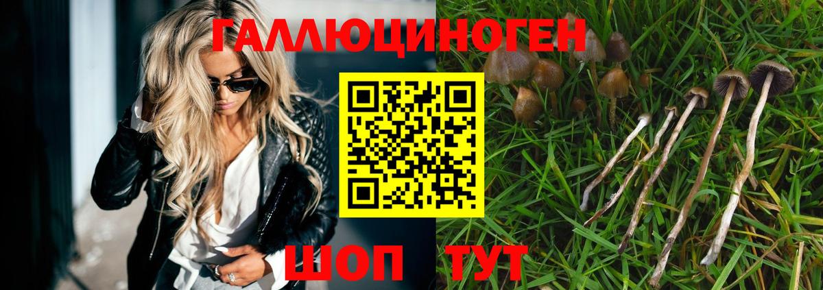 Псилоцибиновые грибы Cubensis  Вход с VPN  Ноябрьск 
