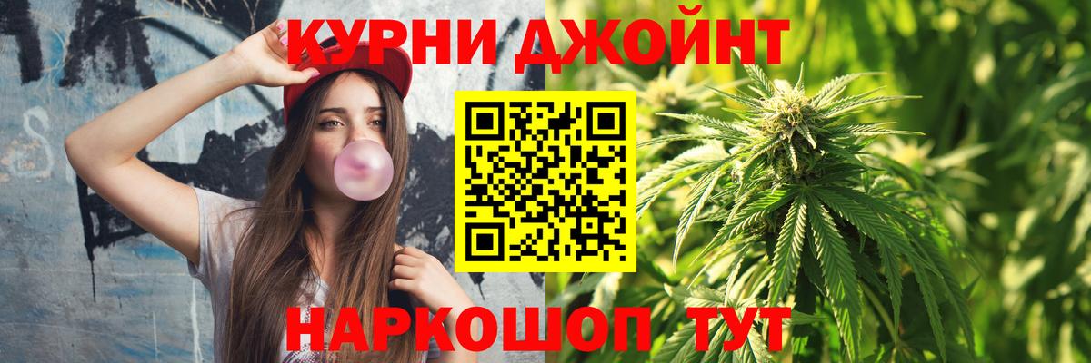 Каннабис конопля Ноябрьск